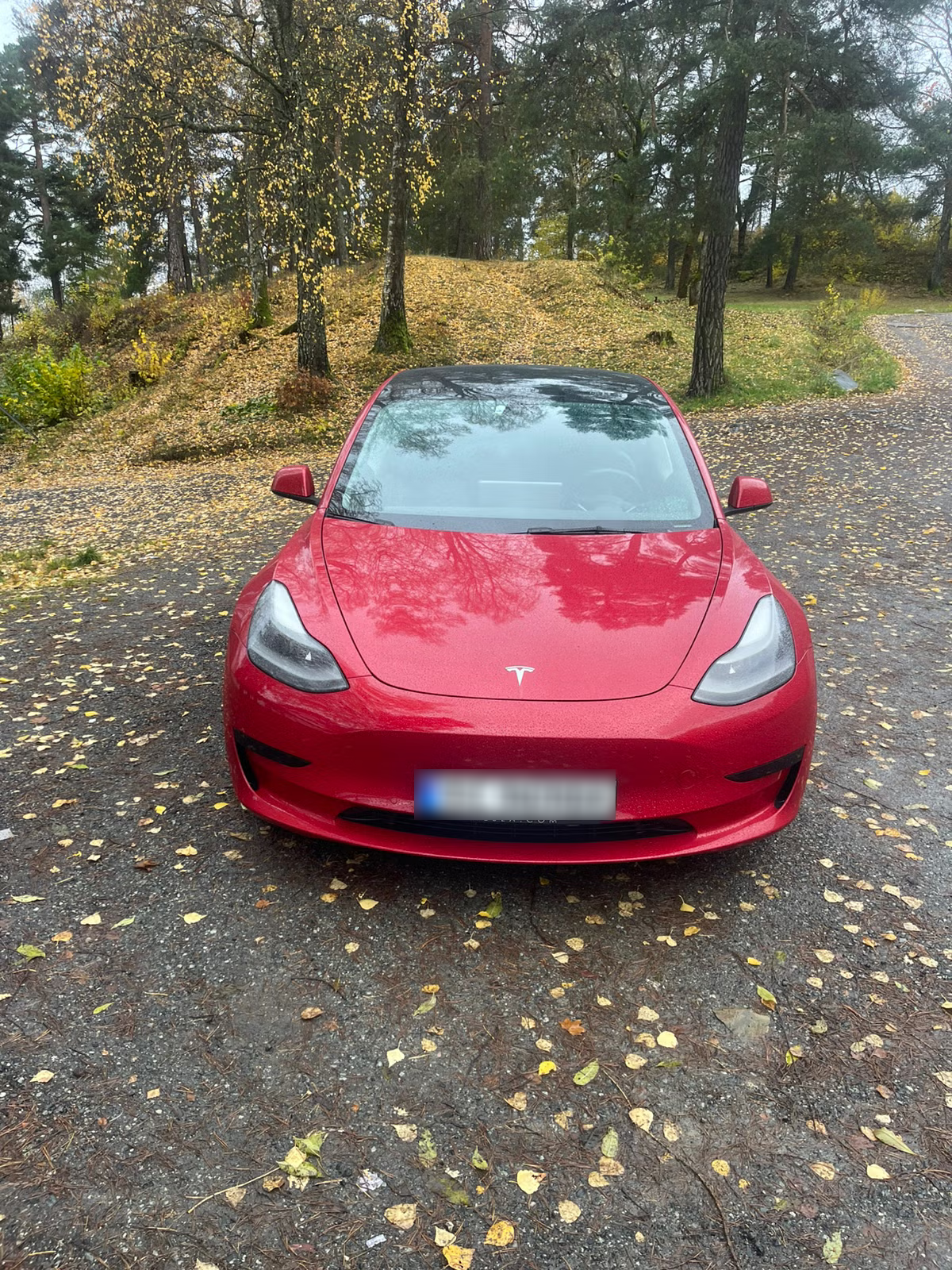 Tesla Model 3 Standard Range Plus 2021 3