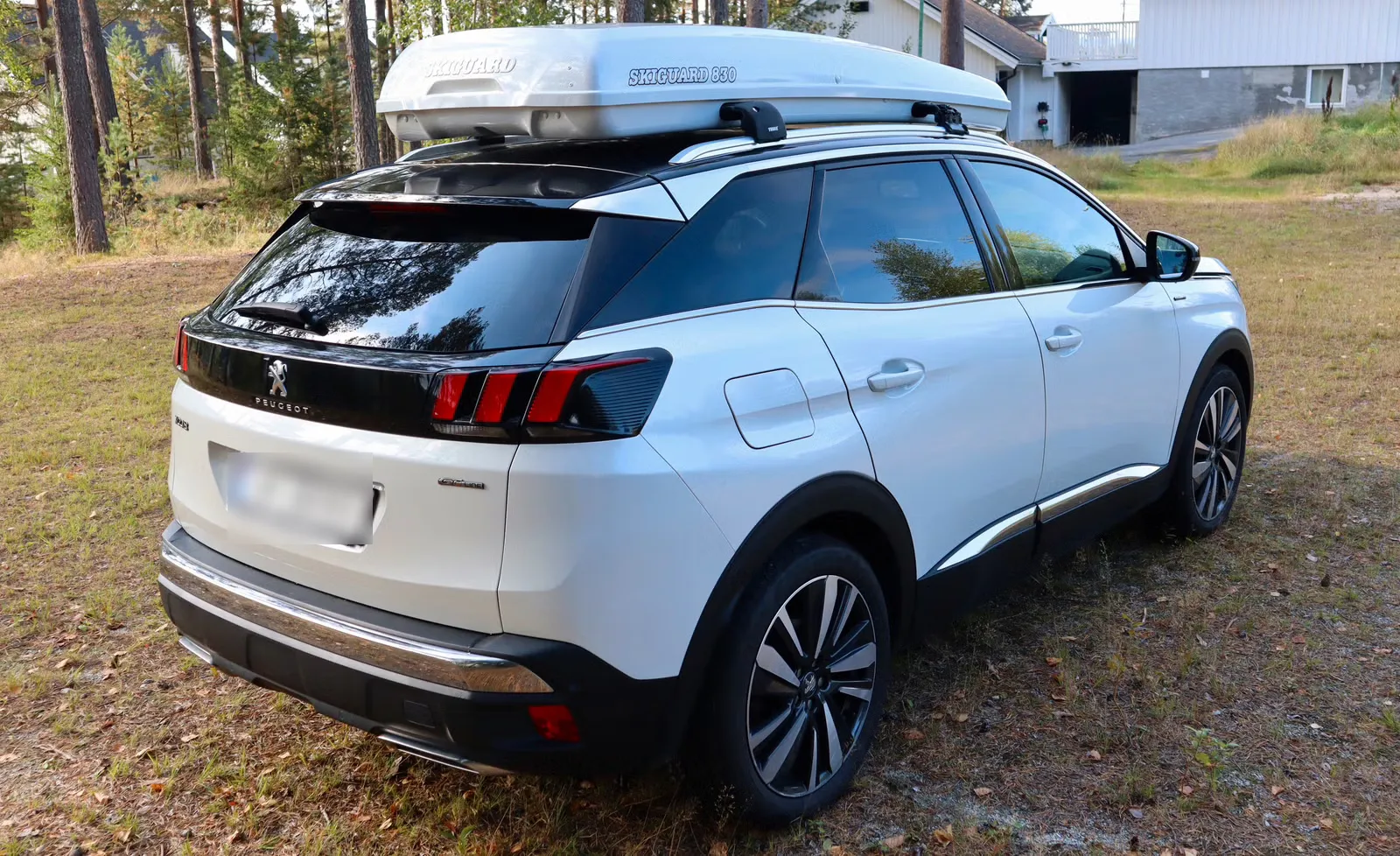 Peugeot 3008 2019 6