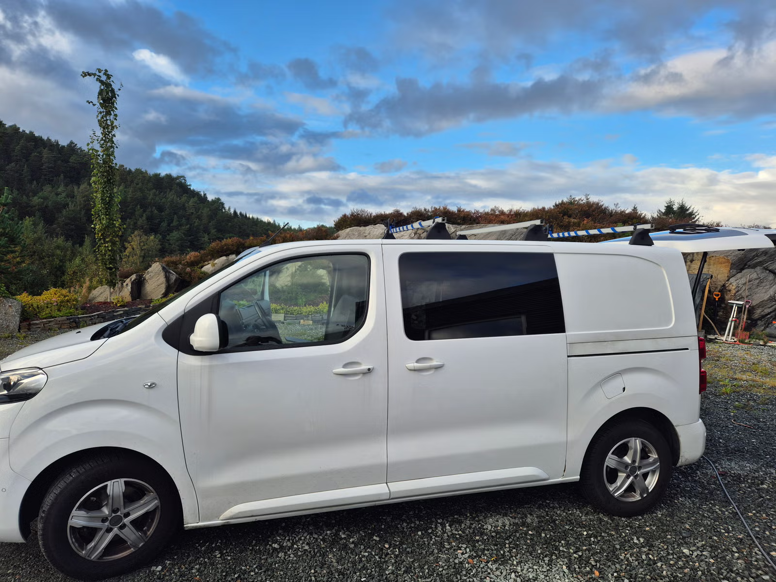Peugeot Expert Traveller 2020 1