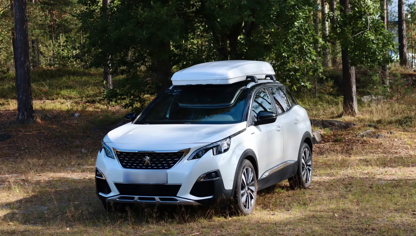 Peugeot 3008 2019 1