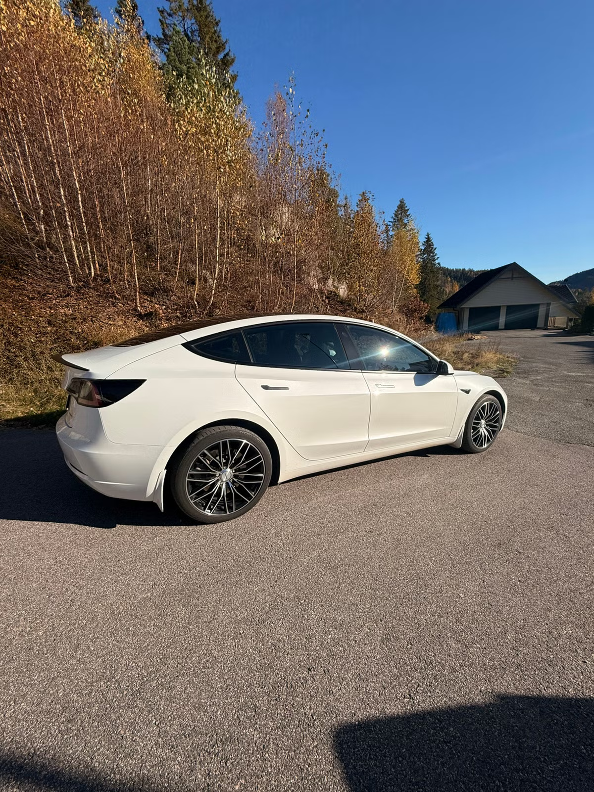 Tesla Model 3 2022 5