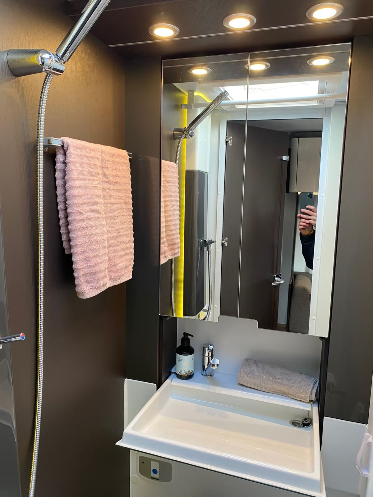 Adria Alpina 663UK 2017 35