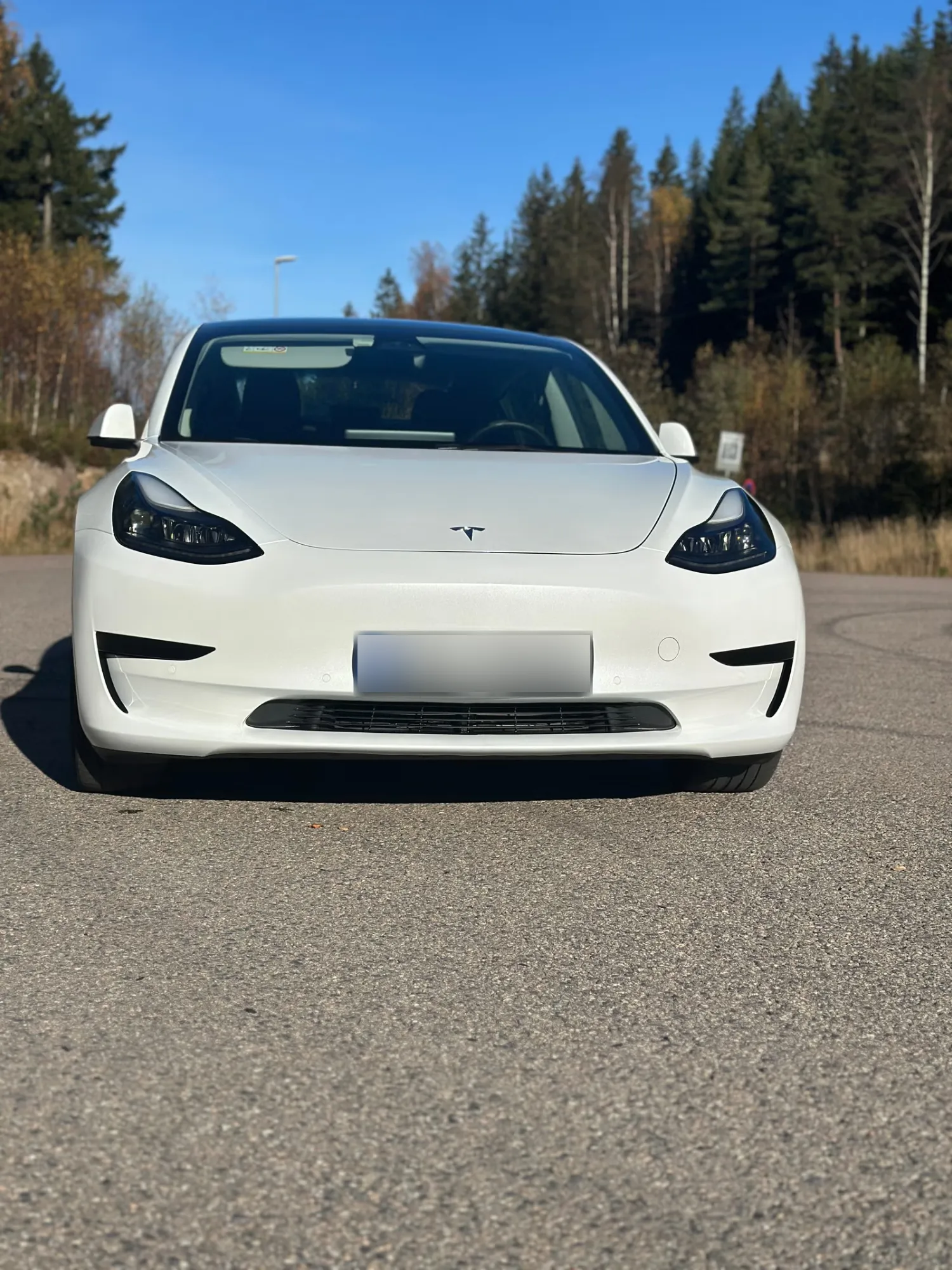 Tesla Model 3 Standard Range 2022 2