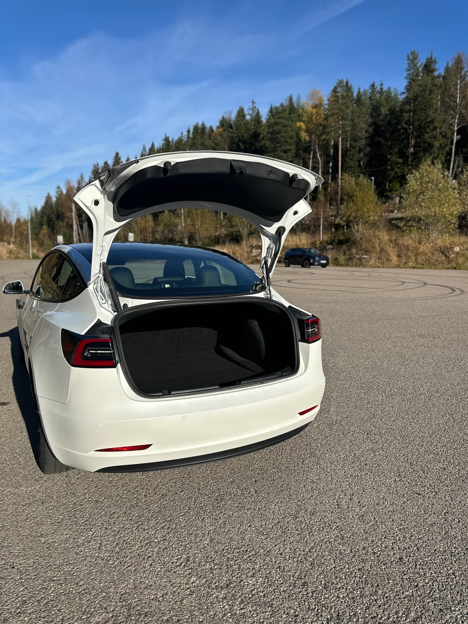 Tesla Model 3 Standard Range 2022 15