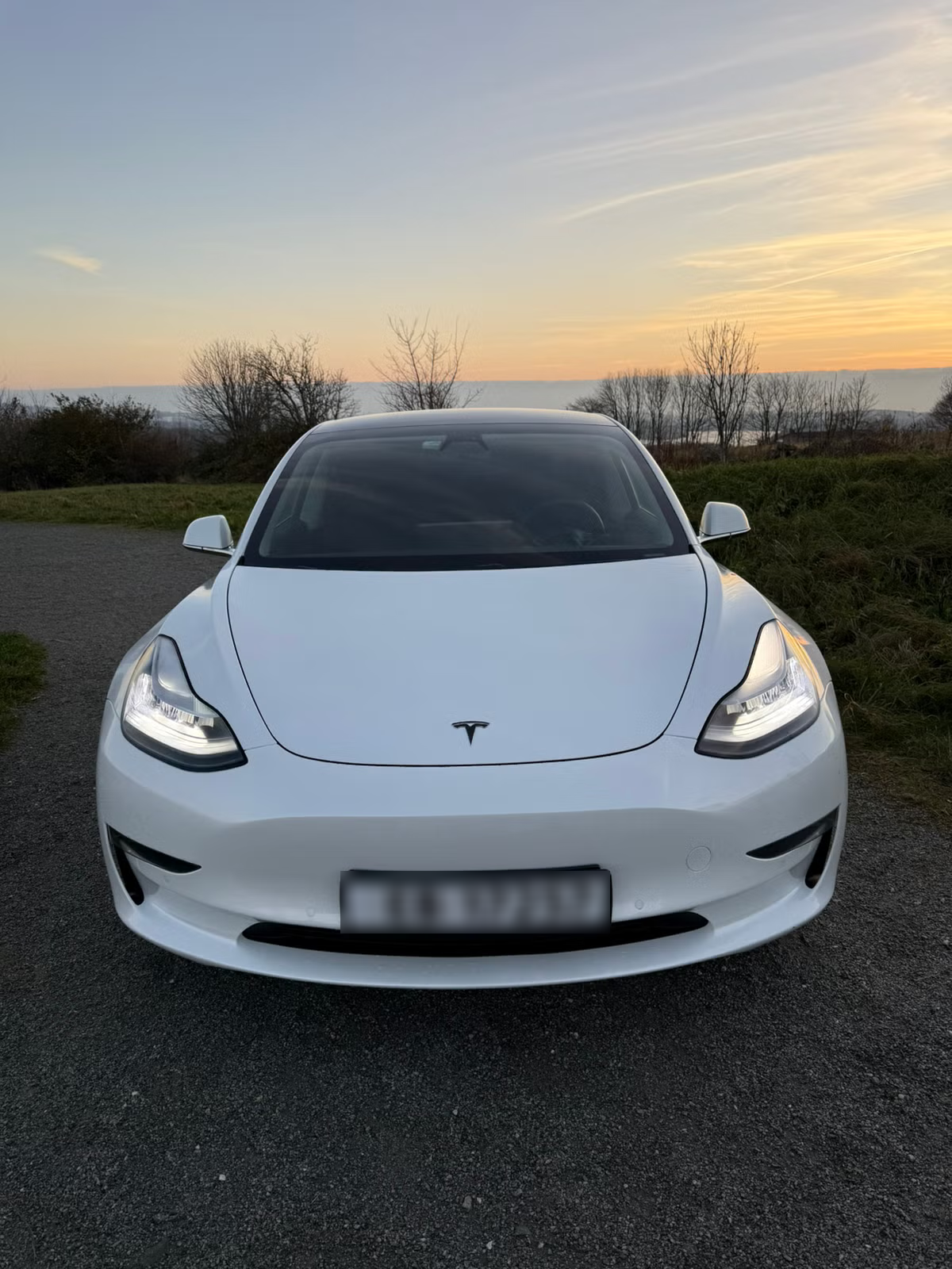 Tesla Model 3 Long Range AWD 2019 9