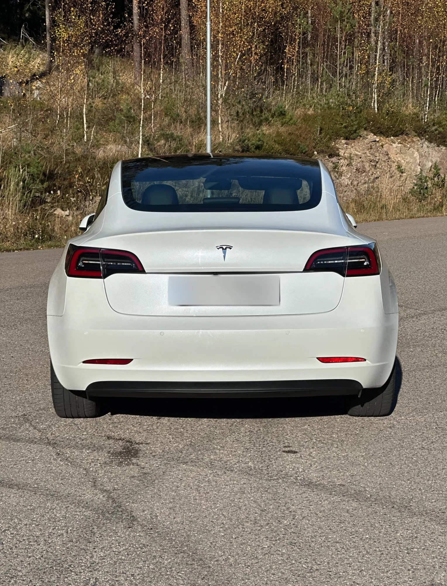 Tesla Model 3 Standard Range 2022 5
