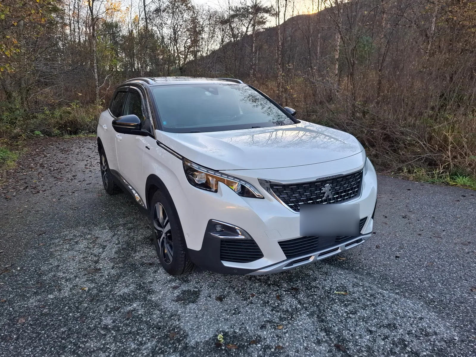 Peugeot 3008 2017 4