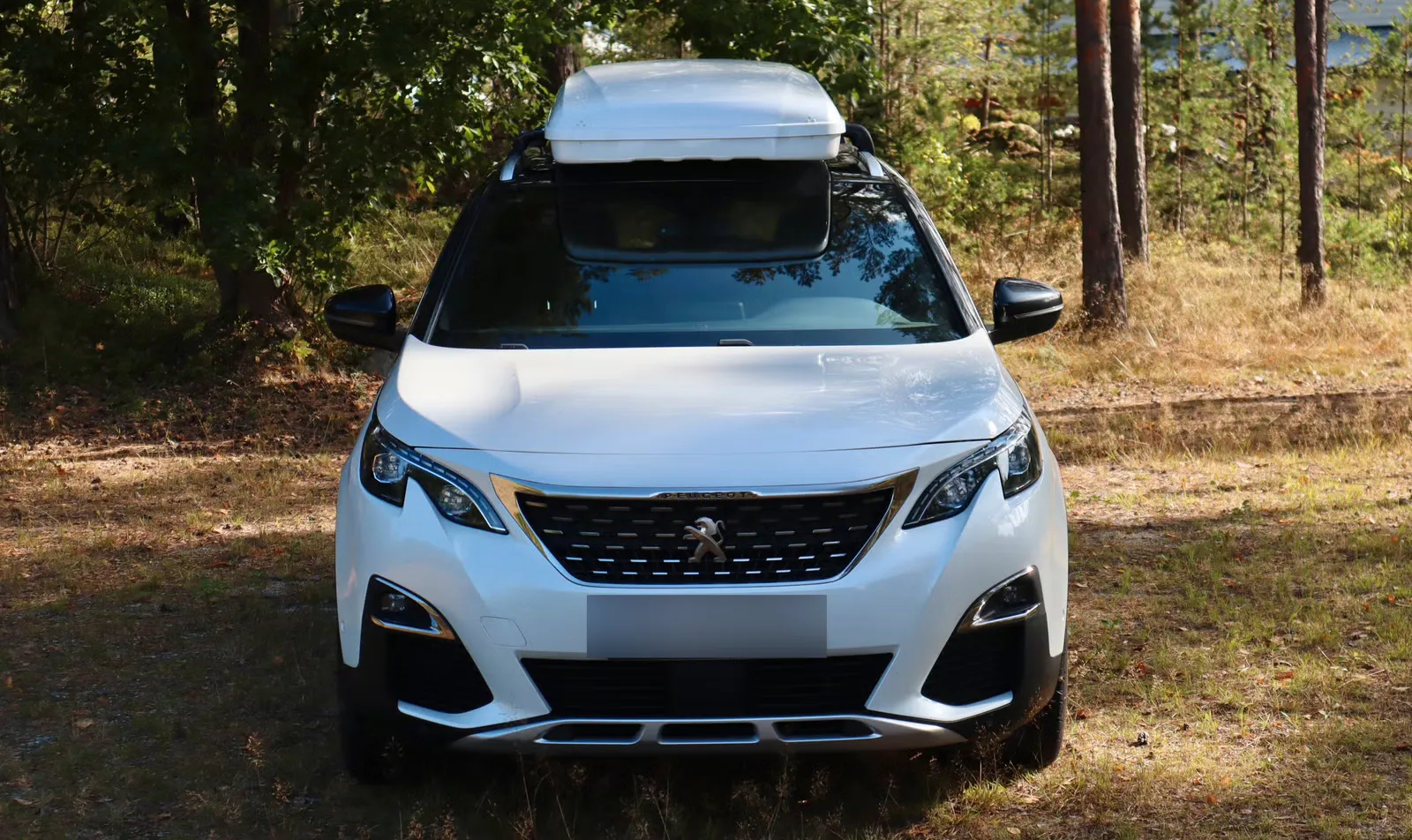 Peugeot 3008 2019 3