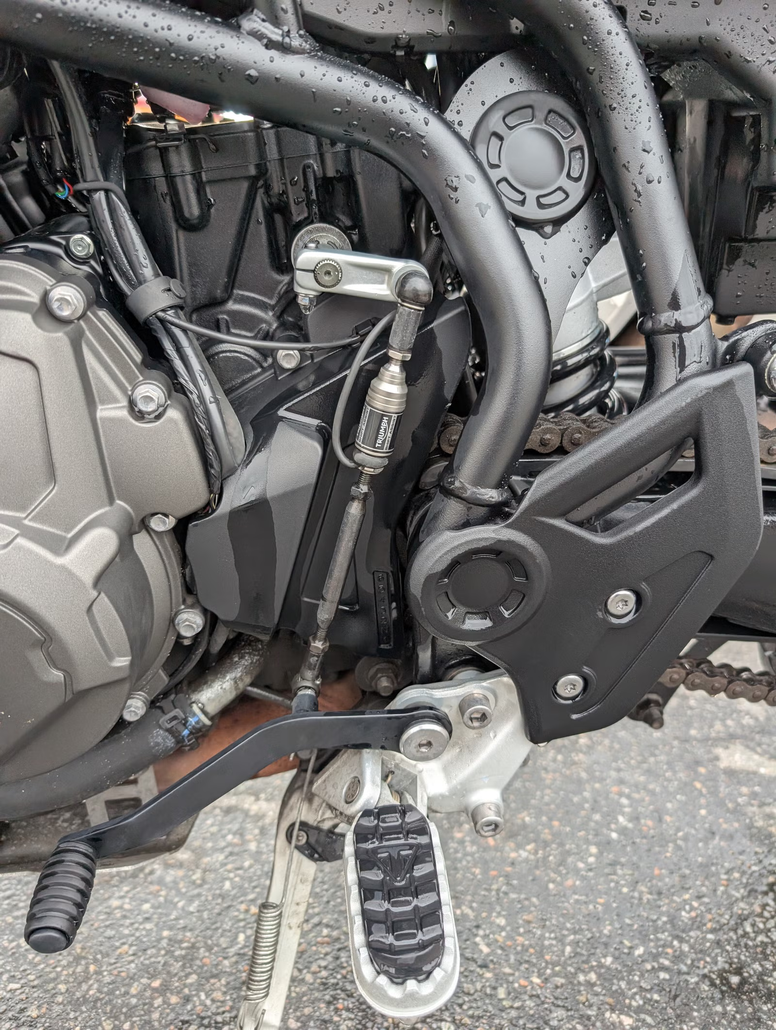 Triumph Tiger 850 2024 23