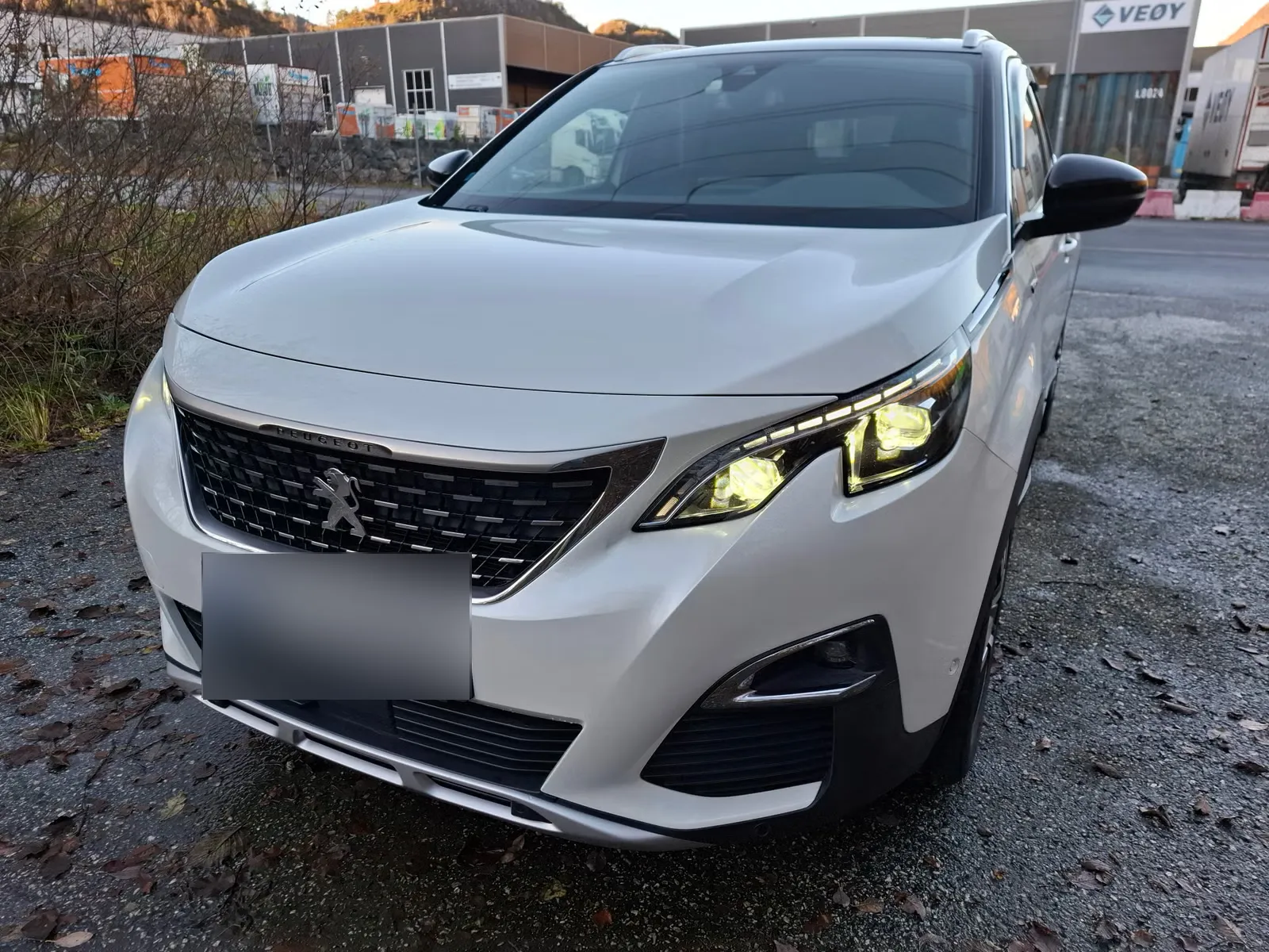 Peugeot 3008 2017 2