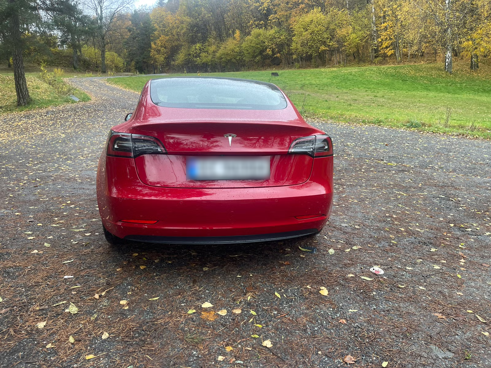 Tesla Model 3 Standard Range Plus 2021 8