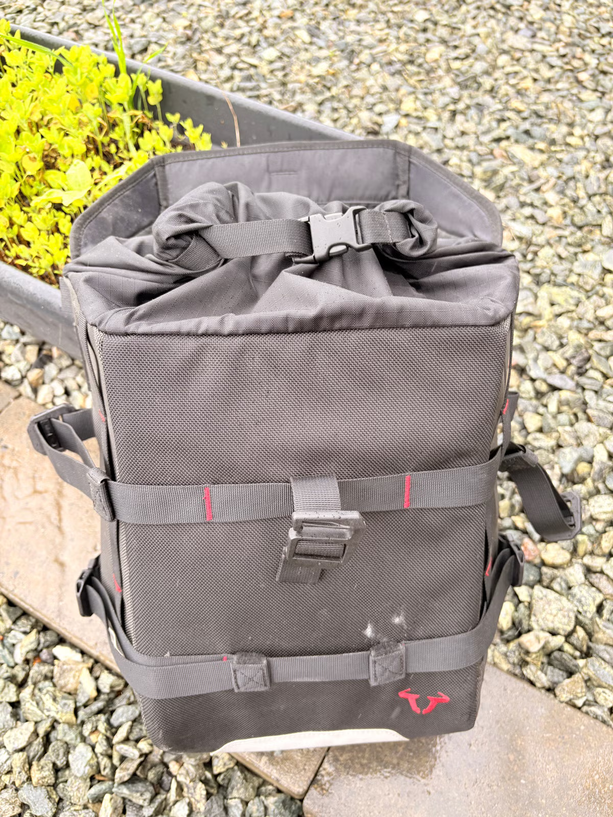 Ducati Monster 950 + 2021 18