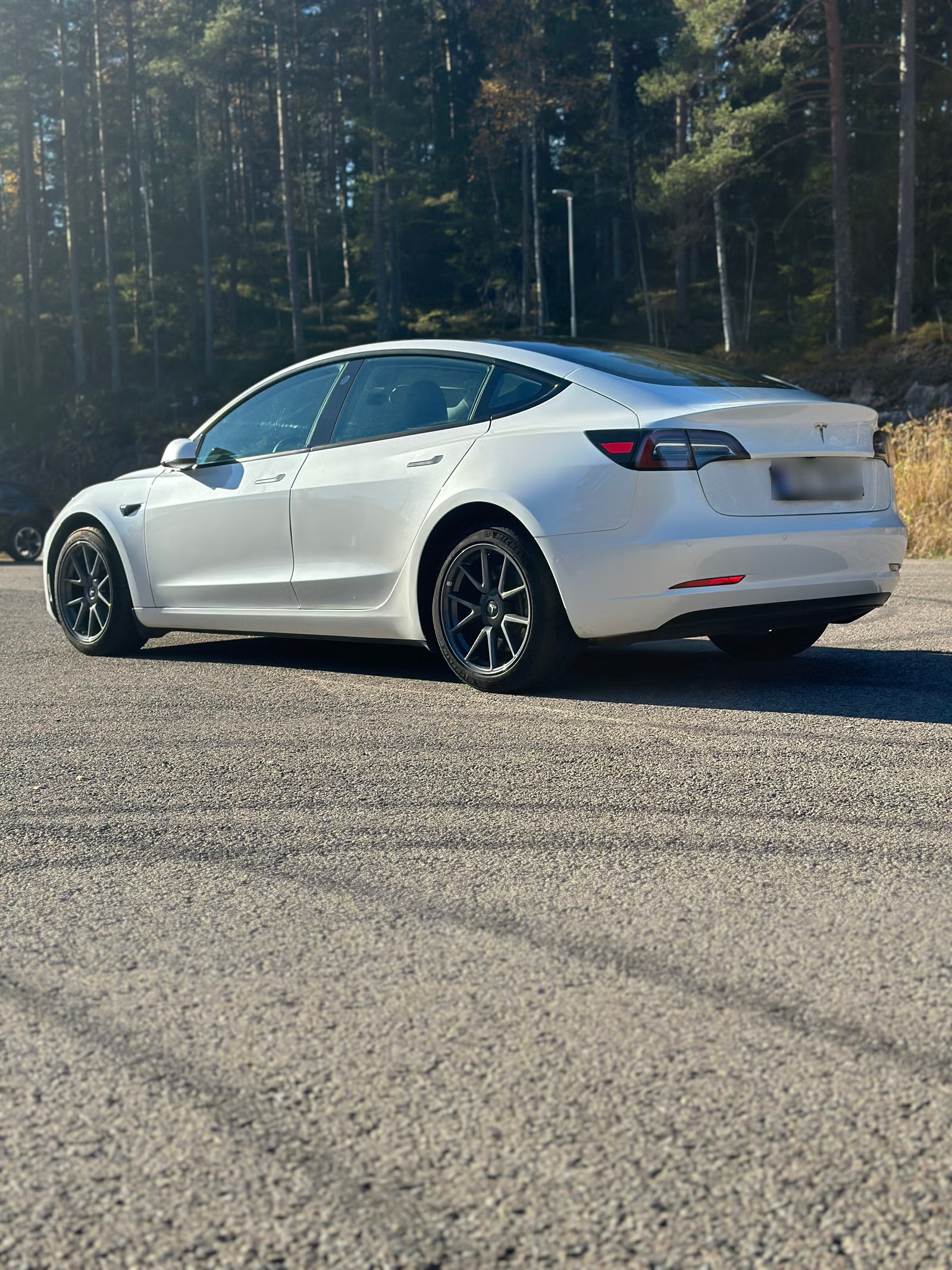 Tesla Model 3 Standard Range 2022 4