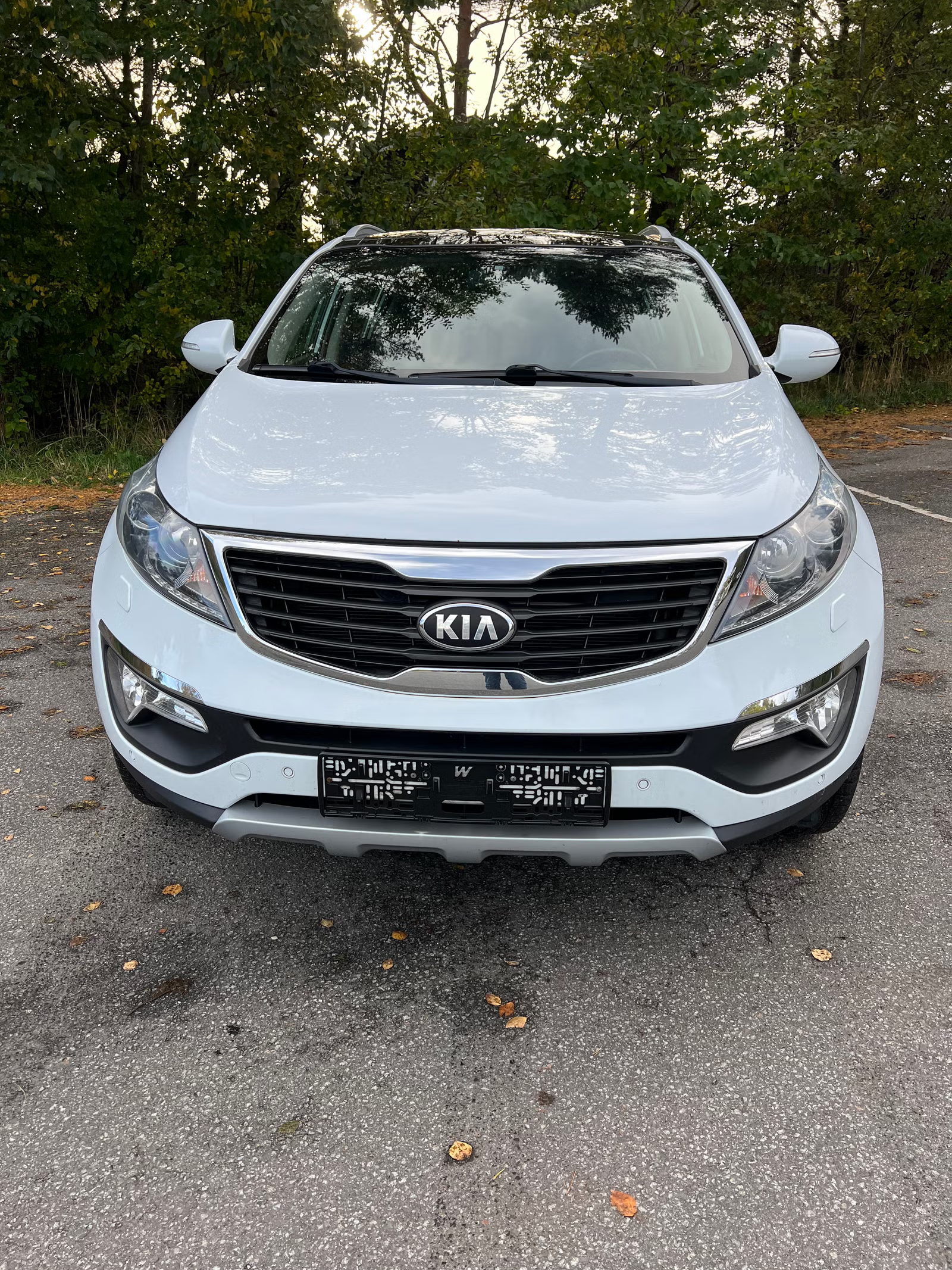 Kia Sportage 2013 2