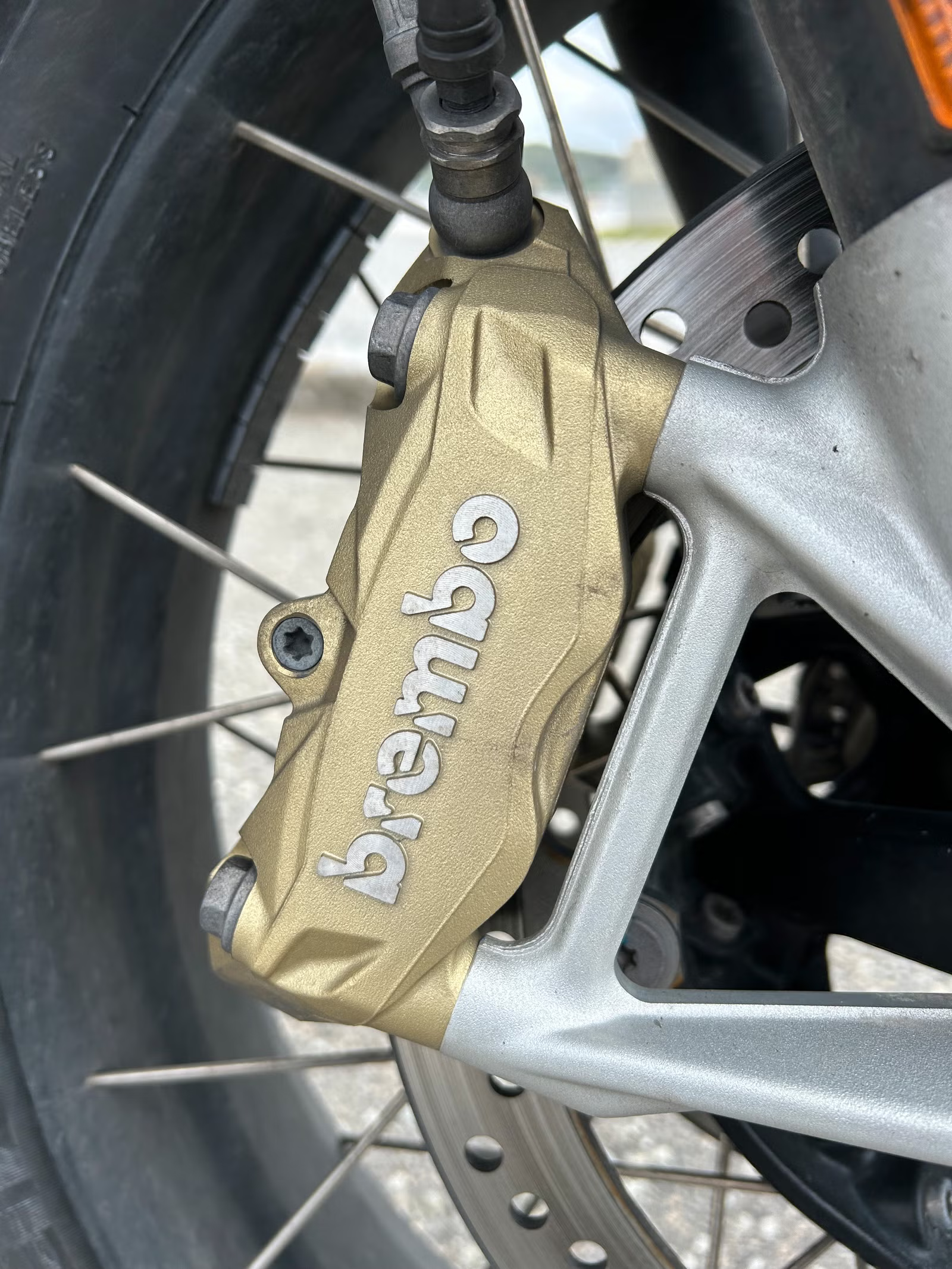 BMW R 1250 GS Trophy 2024 13