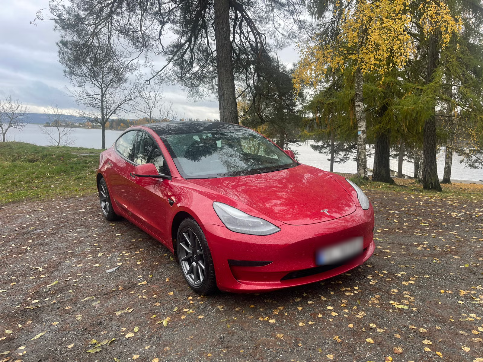 Tesla Model 3 Standard Range Plus 2021 4