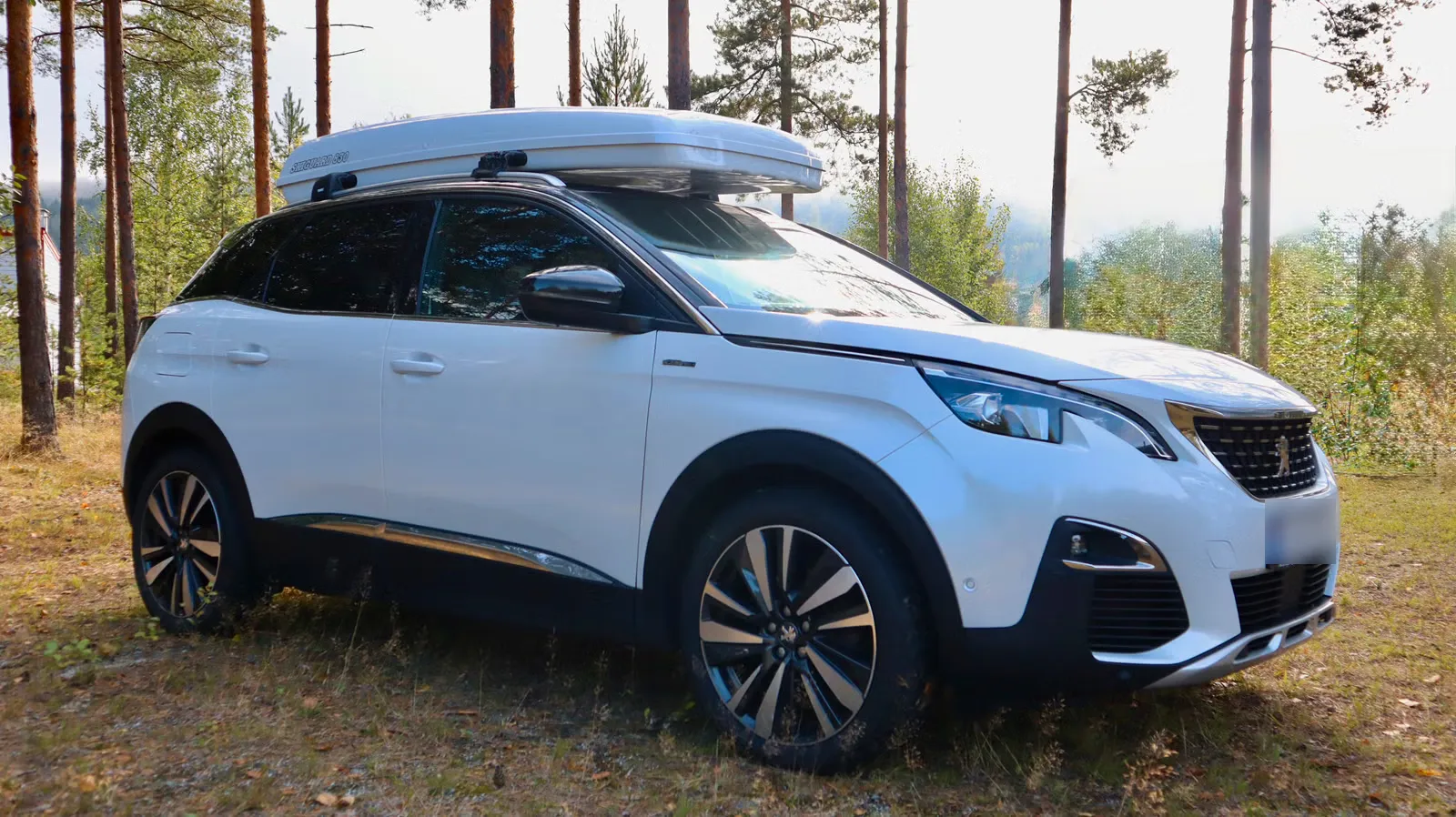 Peugeot 3008 2019 5