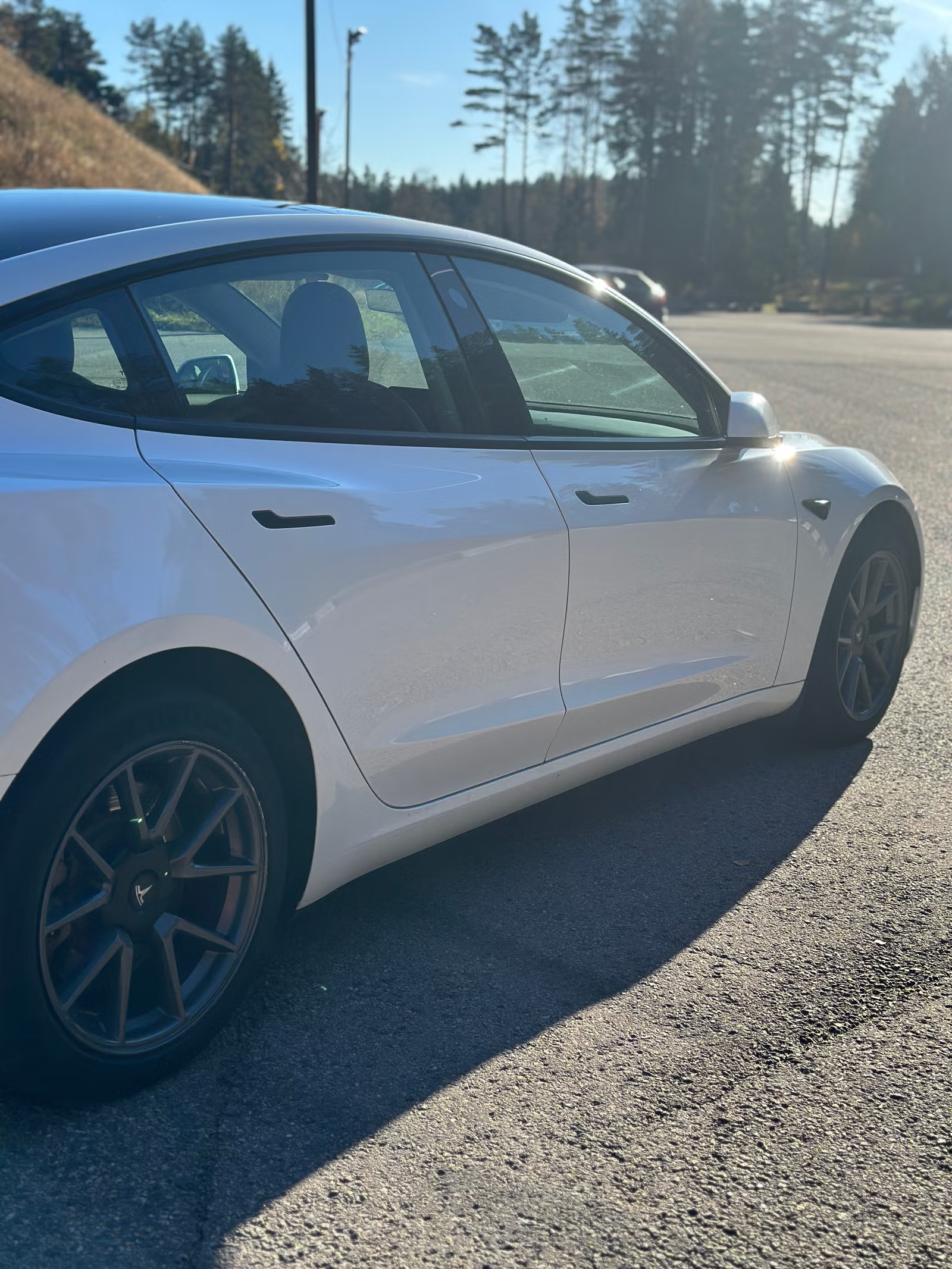 Tesla Model 3 Standard Range 2022 6