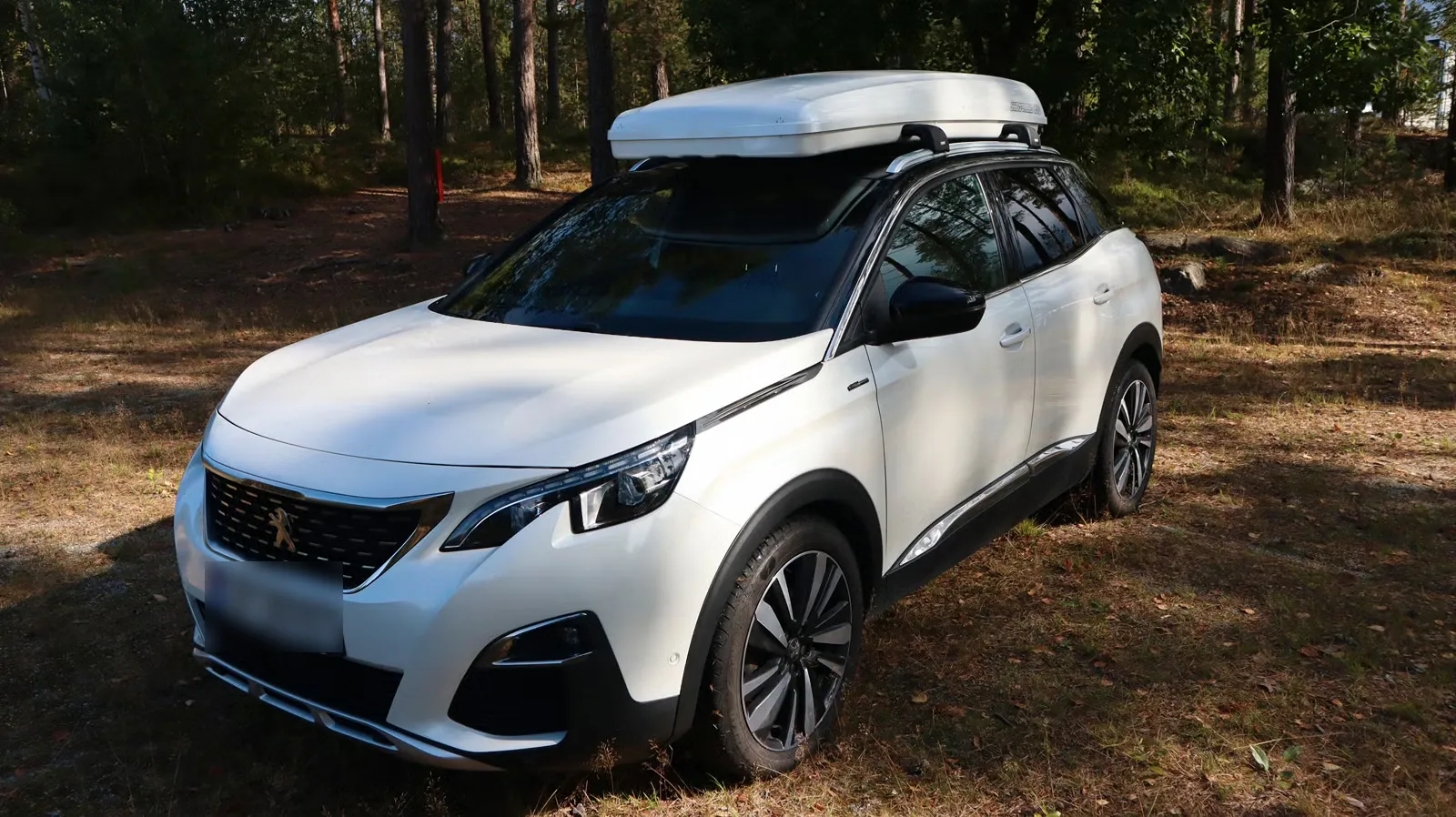 Peugeot 3008 2019 10