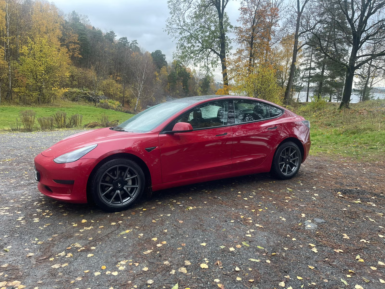 Tesla Model 3 Standard Range Plus 2021 11