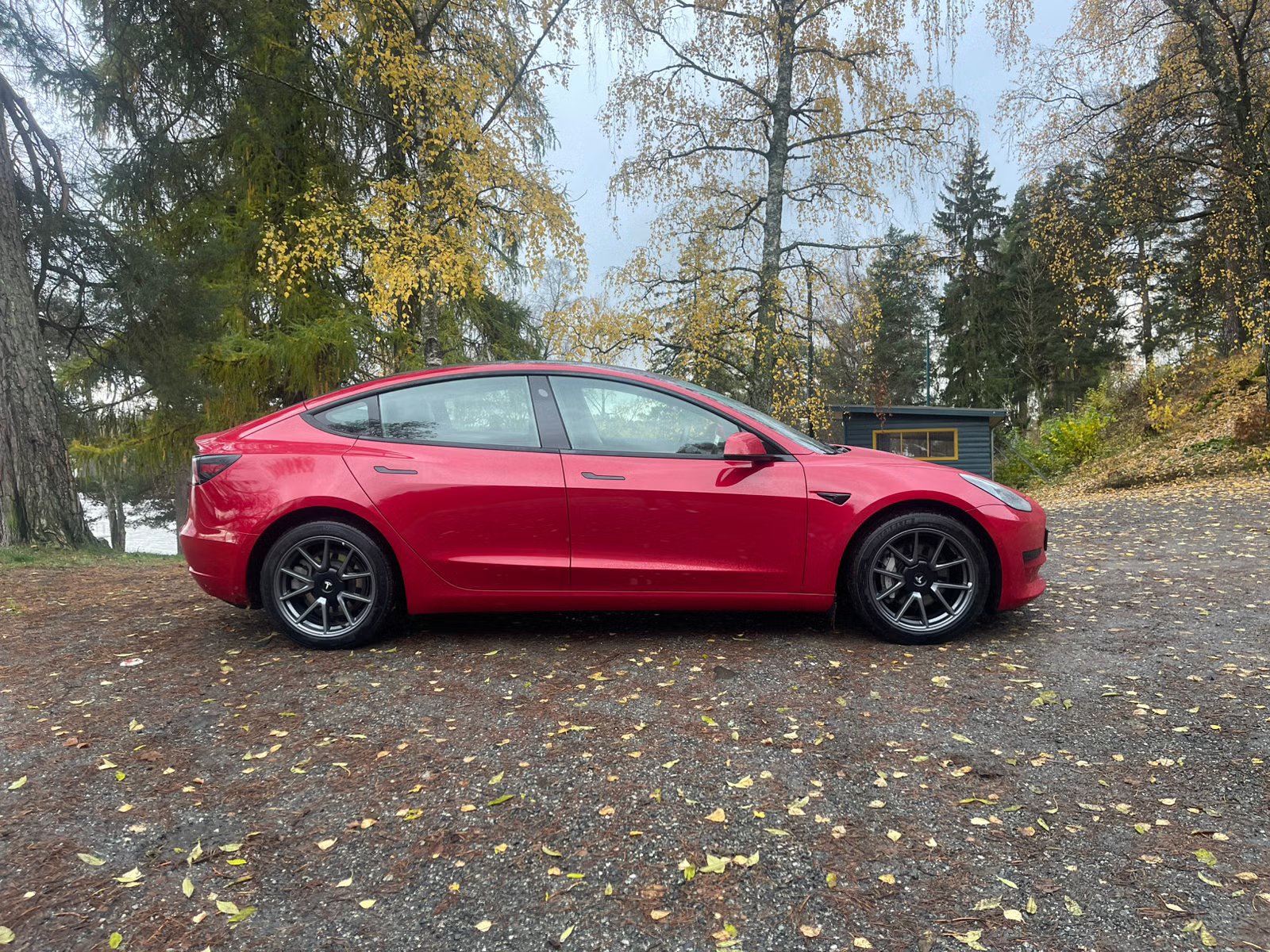 Tesla Model 3 Standard Range Plus 2021 5