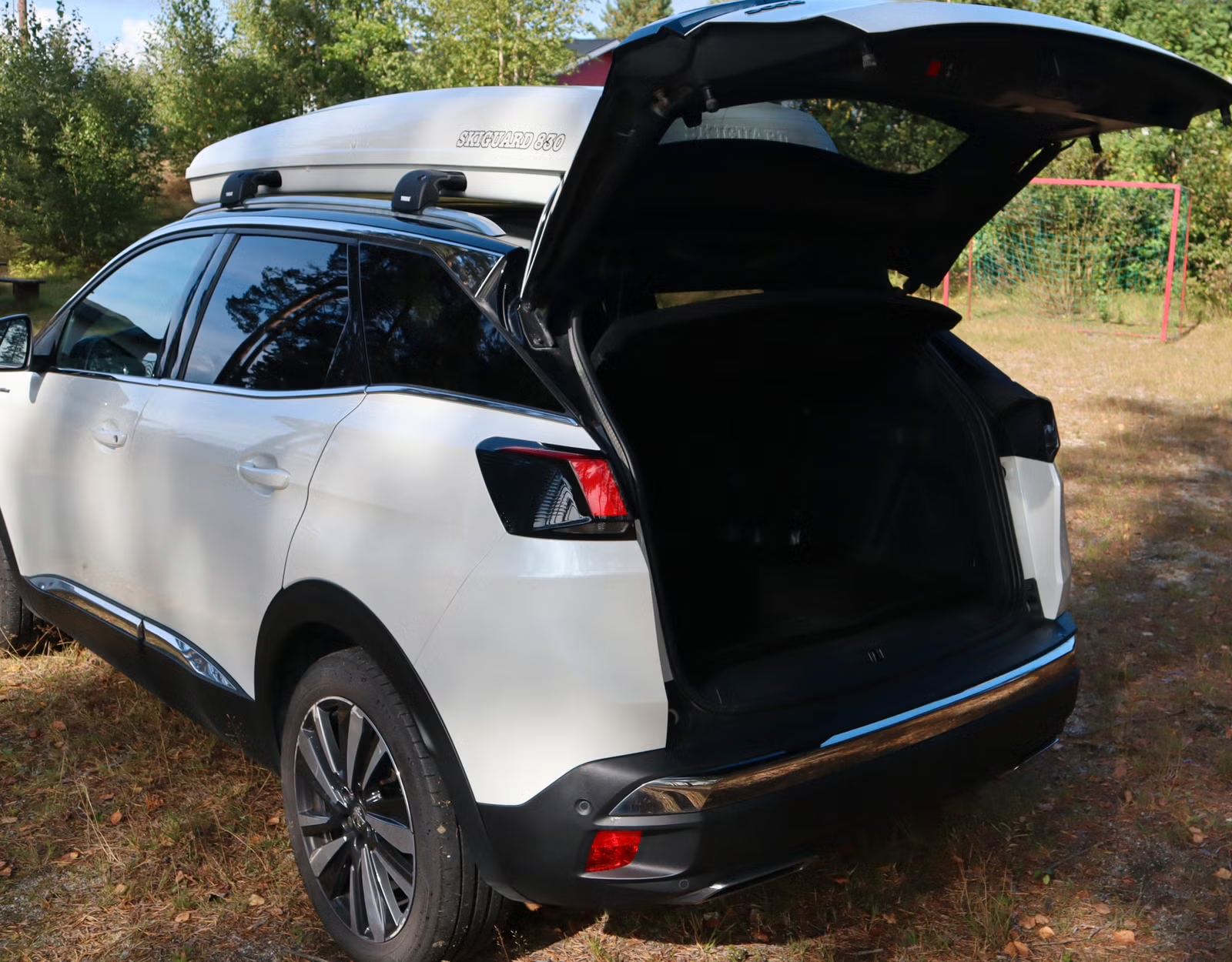 Peugeot 3008 2019 17