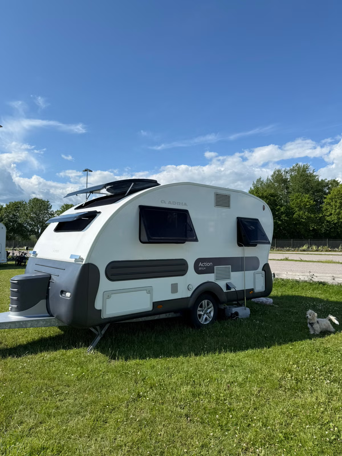 Adria Action 391LH 2021 7