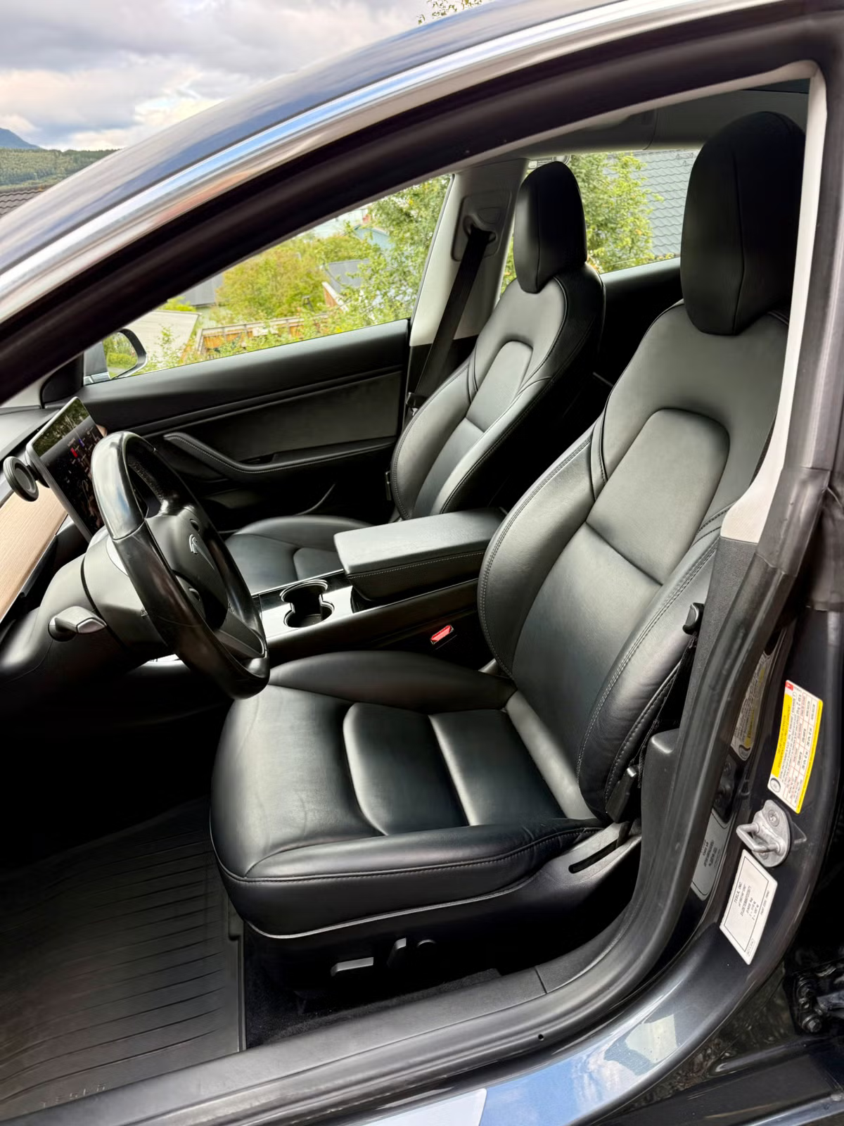 Tesla Model 3 2019 13