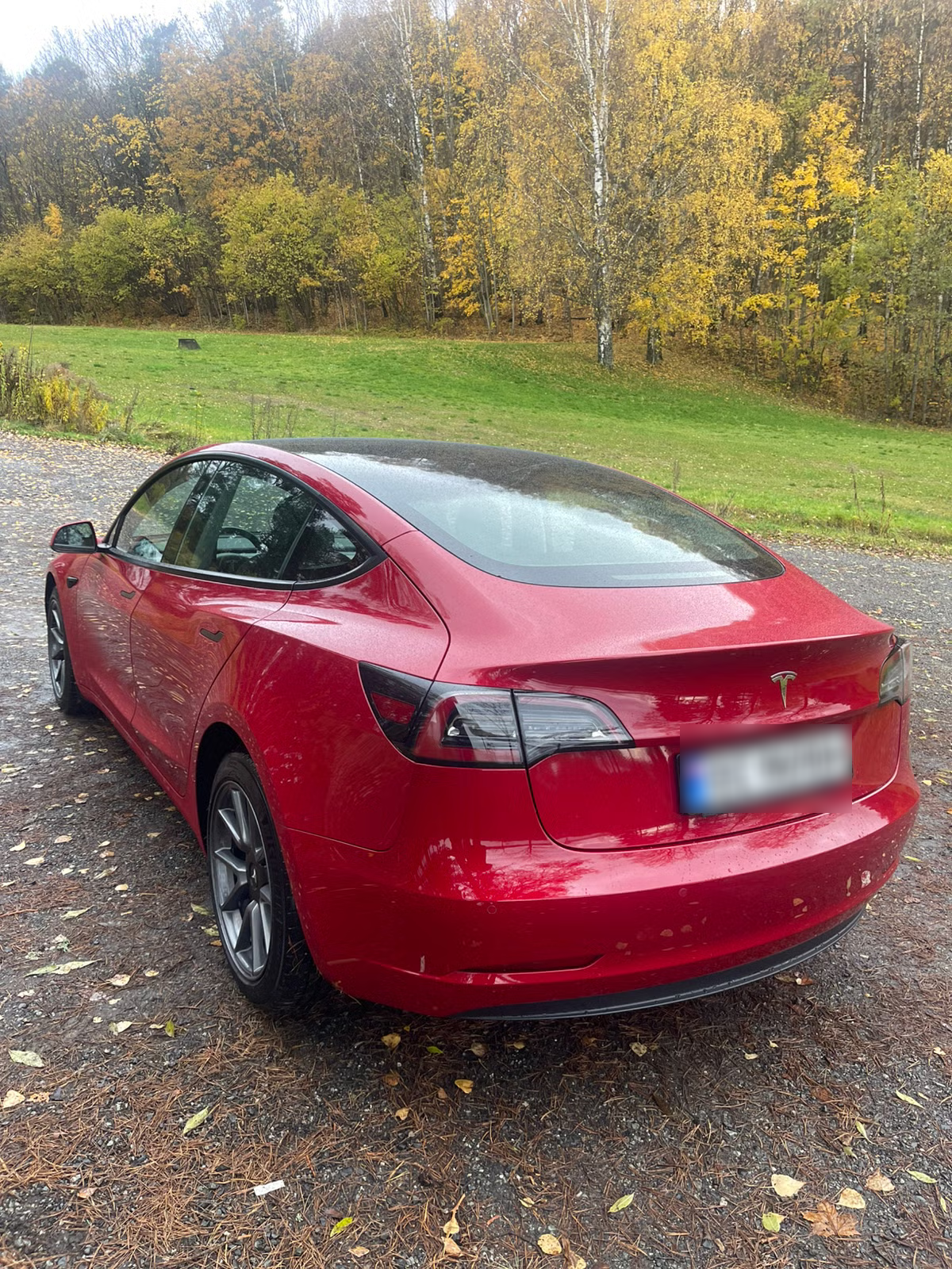 Tesla Model 3 Standard Range Plus 2021 10